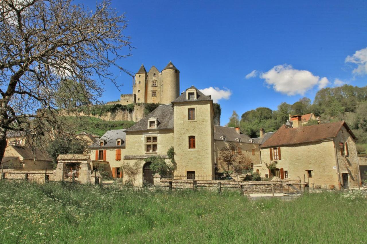 Petite Maison En Pierre Au Coeur Du Perigord Noir Salignac Eyvigues Dış mekan fotoğraf