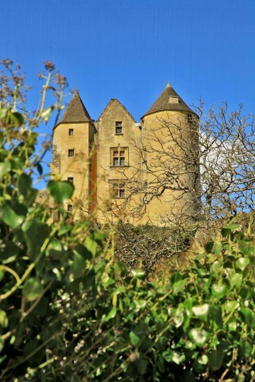 Petite Maison En Pierre Au Coeur Du Perigord Noir Salignac Eyvigues Dış mekan fotoğraf