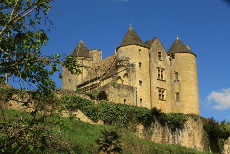 Petite Maison En Pierre Au Coeur Du Perigord Noir Salignac Eyvigues Dış mekan fotoğraf