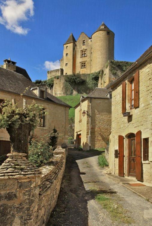 Petite Maison En Pierre Au Coeur Du Perigord Noir Salignac Eyvigues Dış mekan fotoğraf
