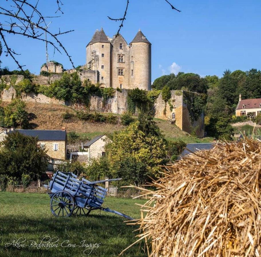 Petite Maison En Pierre Au Coeur Du Perigord Noir Salignac Eyvigues Dış mekan fotoğraf